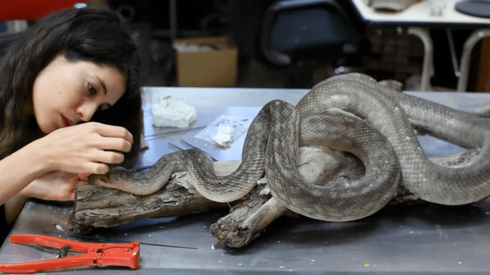 Capture dGÇÖe¦ücran 2014-04-04 a¦Ç 00.13.44