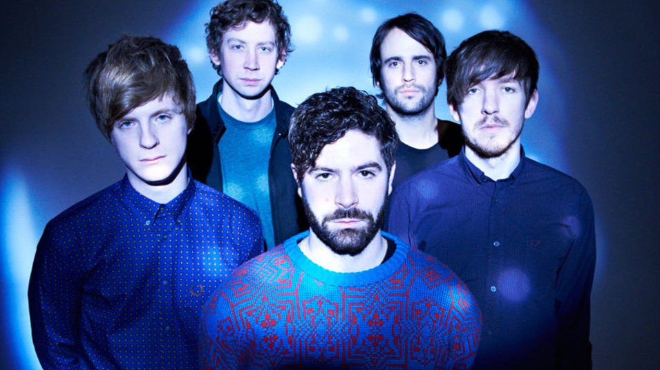 foals1